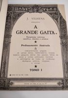 Livro Satírico A grande gaita... ANúNCIOS Bonsanuncios.pt